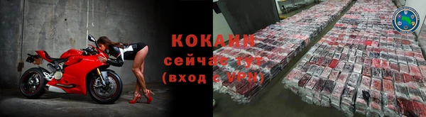 apvp Магас