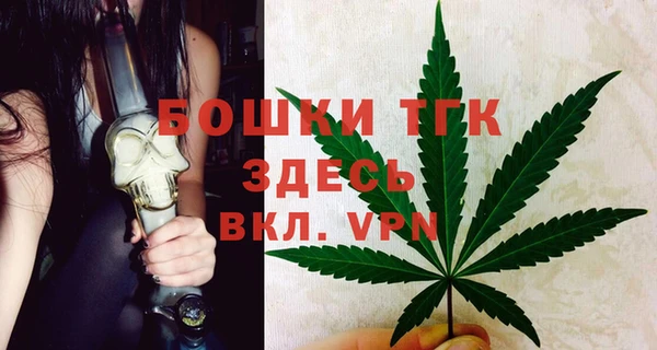 стафф Майский