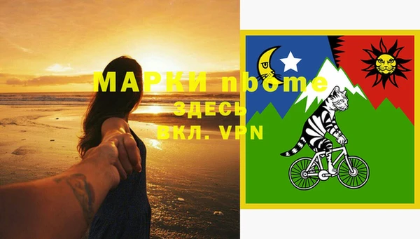 apvp Магас