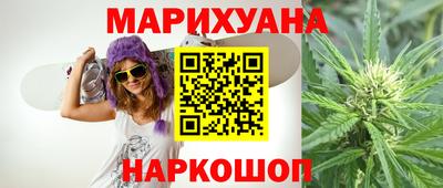 сатива Краснознаменск