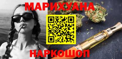 сатива Краснознаменск