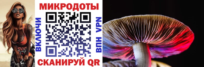 Галлюциногенные грибы ЛСД  продажа наркотиков  Шебекино 