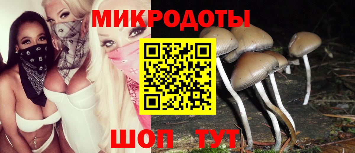 Псилоцибиновые грибы Magic Shrooms Шебекино