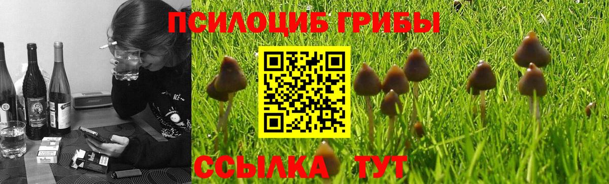 цена наркотик  Псилоцибиновые грибы GOLDEN TEACHER  Вход с VPN  Галлюциногенные грибы Cubensis  Шебекино 